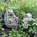 ���� Jussi, �����, 34 ���� - ��������� 31 ������� 2011