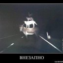 ���� �������, �����������, 64 ���� - ��������� 27 ������� 2013 � ������ ������ �������