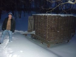 ������, ����, 45 ���