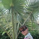 ���� �����, ����-�������, 37 ��� - ��������� 15 ������ 2011 � ������ ����� 2011�.�