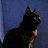  Tina, , 43  -  15  2010