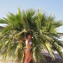 ���� E����, ������ - ��������� 5 ������� 2012 � ������ ���� ����������