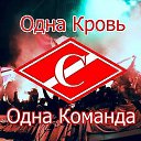 ���� ���������, ������, 40 ��� - ��������� 31 ���� 2013 � ������ ������