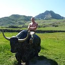  , -, 53  -  19  2013    