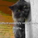 ���� ������, ����������, 54 ���� - ��������� 7 ������� 2011