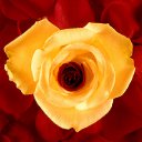 ���� ����� - ���������� ��������!!!, �����������, 56 ��� - ��������� 4 ������ 2010 � ������ �����ۻ