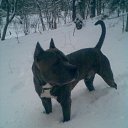 ���� Czxv Zxvc �����, �����������, 57 ��� - ��������� 4 ����� 2011 � ������ �������