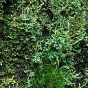 ���� ����. ��������� �� ��!, ������, 72 ���� - ��������� 30 ������ 2011 � ������ ����� � �����