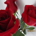 ���� Oleksa, ��������, 40 ��� - ��������� 11 ������ 2013 � ������ ������ �� ������� ����߻