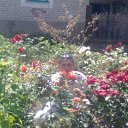  !, , 28  -  16  2012   .