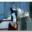   ( - !), , 59  -  19  2011   RoadKing