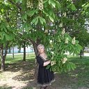 ���� �����, �������, 68 ��� - ��������� 17 ��� 2013 � ������ ����