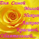 ���� �������, ����, 58 ��� - ��������� 10 ������ 2012 � ������ ���� ����������