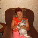 ���� �������, ���������, 62 ���� - ��������� 23 ������ 2013 � ������ ���� ����������