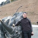 ���� ���������, ������, 38 ��� - ��������� 28 �������� 2011 � ������ ���� ����������