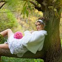    ?   ..., , 33  -  12  2012    