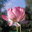 ���� ����. ��������� �� ��!, ������, 72 ���� - ��������� 30 ������ 2011 � ������ ����� � �����