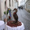 ���� �����, �����, 65 ��� - ��������� 2 ������� 2010 � ������ ��������� ���������� �� �����������.�