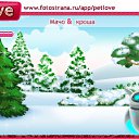  Wiatcheslaw, , 50  -  13  2010   PetLove