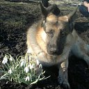 ���� � ������!!!