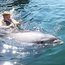 ���� ������, ������ ��������, 59 ��� - ��������� 29 ����� 2012 � ������ ���� ����������