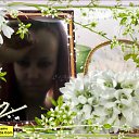 ���� ����, ����� - ��������� 30 ����� 2012 � ������ ���� ����������