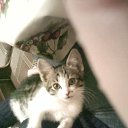 ���� ���, ������, 60 ��� - ��������� 24 �������� 2010 � ������ �� � �������� ��������