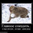 ���� ��������, �����, 44 ���� - ��������� 17 ������� 2012 � ������ �������