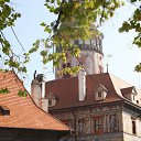  Lapyschka, , 43  -  19  2010   gorod gde ja guvy