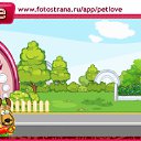  , , 48  -  12  2010   PetLove