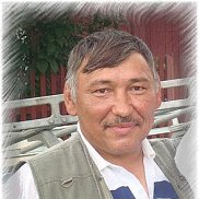  , 62 , 