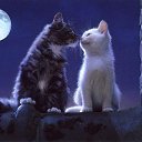 ���� ���������, ����, 53 ���� - ��������� 6 ����� 2013 � ������ ������ ��������