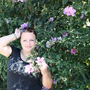 ���� ����, ��������, 40 ��� - ��������� 3 �������� 2012 � ������ ���� ����������