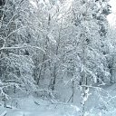  Serzh Van Der Maaremaan,  -  1  2009    