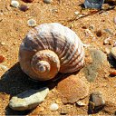 ���� �������, �����, 57 ��� - ��������� 24 ���� 2010 � ������ �����... ����... �����...�