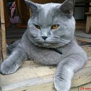���� Oleg, ������, 56 ��� - ��������� 18 ������ 2012 � ������ ���� ����������