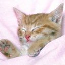 ���� �������, ������������, 38 ��� - ��������� 13 ����� 2012 � ������ ���� ����������