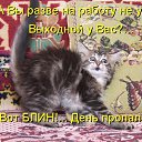  , ,  -  10  2013   ! :))))))))))))