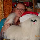 ���� �������, �����-���������, 52 ���� - ��������� 10 ������ 2011 � ������ ���� ����������