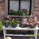 ,    Niderlandi
