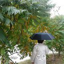 ���� ������� �������, ���������, 64 ���� - ��������� 13 ������ 2012 � ������ ���� ����������