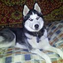 ���� �������, ������������, 42 ���� - ��������� 6 ������� 2012 � ������ ���� ����� � ���-�������.�