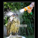 ���� Michael', ������, 36 ��� - ��������� 18 ��� 2012 � ������ ���� ����������