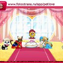  ( ),  , 44  -  29  2010   PetLove
