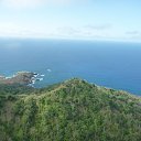 ���� Fox, �����������, 44 ���� - ��������� 4 �������� 2012 � ������ ��������