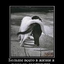 ���� ��������, ����-���������, 53 ���� - ��������� 25 ������ 2012 � ������ ���� ����������