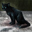 ���� C���, ��������, 35 ��� - ��������� 23 ������� 2012 � ������ �������