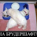 ���� ������, ����, 42 ���� - ��������� 25 ������ 2012 � ������ ���� ����������