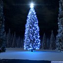 ���� �����, ������ ��������, 29 ��� - ��������� 13 ������� 2011 � ������ ������� ��������!�