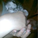  E.lena, , 62  -  15  2011     ...